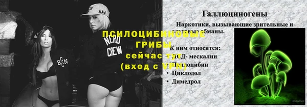 метамфетамин Богородицк