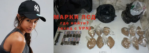 спиды Бородино