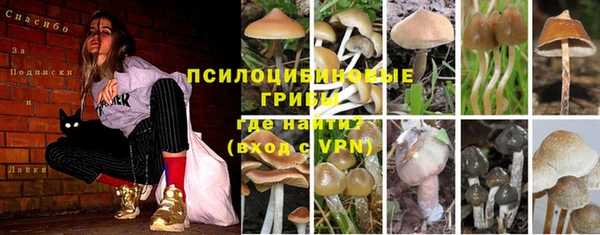 ГАЛЛЮЦИНОГЕННЫЕ ГРИБЫ Белоозёрский