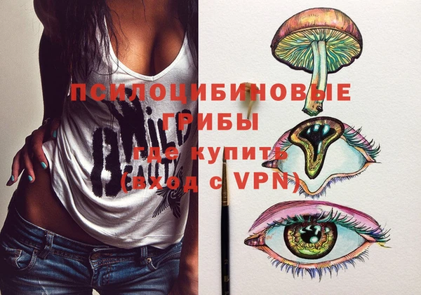 ГАЛЛЮЦИНОГЕННЫЕ ГРИБЫ Белоозёрский