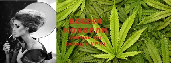 каннабис Беломорск